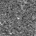 2021agkt_image