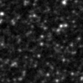 2021agkx_image