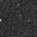 2021agpm_image