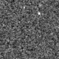 2021agra_image