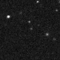 2021agvl_image