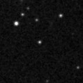 2021agvx_image