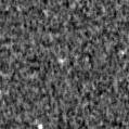 2021agwo_image