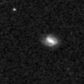 2021agzc_image