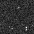 2021agzx_image