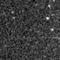2021ahbh_image