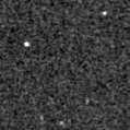 2021ahlf_image