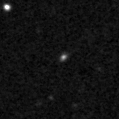 2021alp_image