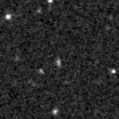 2021ana_image