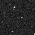 2021anp_image