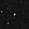 2021arg_image