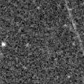 2021asj_image