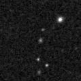 2021auk_image
