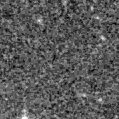 2021bds_image