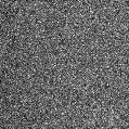 2021bfs_image