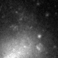 2021blt_image
