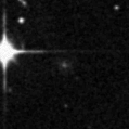 2021bpf_image