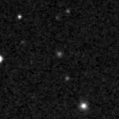 2021caj_image