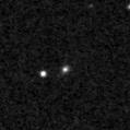 2021ccj_image