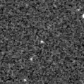 2021cec_image