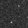 2021ceg_image