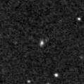 2021cfy_image