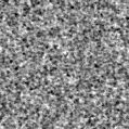 2021chd_image
