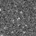2021chw_image