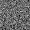 2021cjt_image
