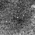 2021ckn_image