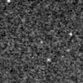 2021clz_image