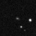 2021coa_image