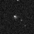 2021cob_image
