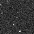 2021cof_image