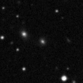 2021cog_image