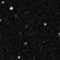 2021cot_image