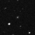 2021cus_image