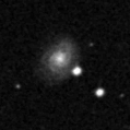 2021dbg_image