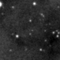 2021dcy_image