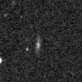 2021ddi_image