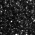 2021ddo_image