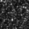 2021dds_image