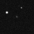 2021det_image