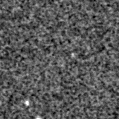 2021dgk_image