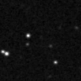 2021diw_image
