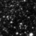 2021djj_image