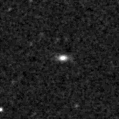 2021dld_image