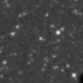2021dll_image