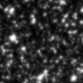 2021dlm_image