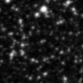 2021dln_image